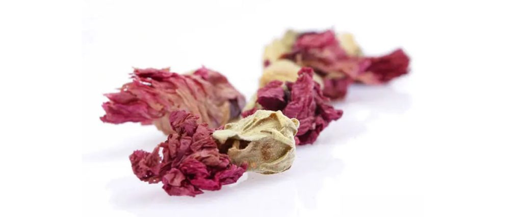 Fu Rong Hua - Furonghua - Furong Hua - Fu Rong Hua Herb Supplier ...